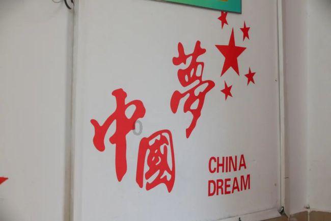 专注问答交流,空气凤梨怎么养?帮你解忧答惑
